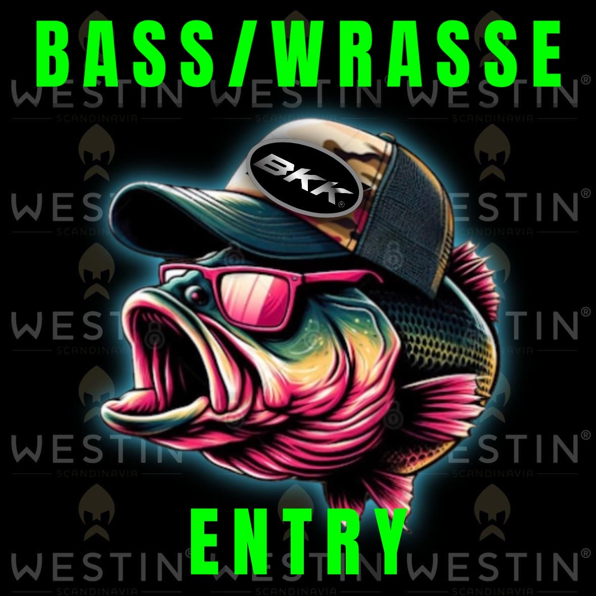 LOWEN-CHY SALTWATER LURE JAM WRASSE/BASS ENTRY